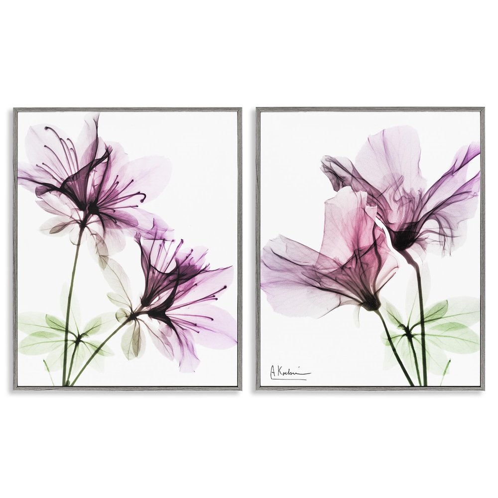 Stupell Industries Purple Flower Bloom, Design by Albert Koetsier Wall Art, 2pc, Each 11 x 14, Grey Framed