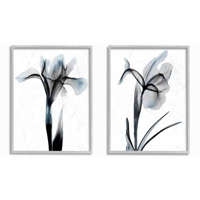 Stupell Industries Contrast Black and Blue Flower Bloom, Design by Albert Koetsier Wall Art, 2pc, Each 11 x 14, Grey Framed