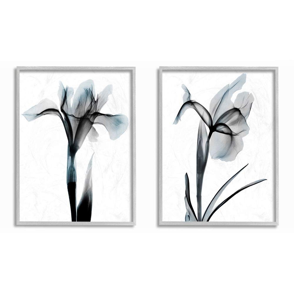 Stupell Industries Contrast Black and Blue Flower Bloom, Design by Albert Koetsier Wall Art, 2pc, Each 11 x 14, Grey Framed
