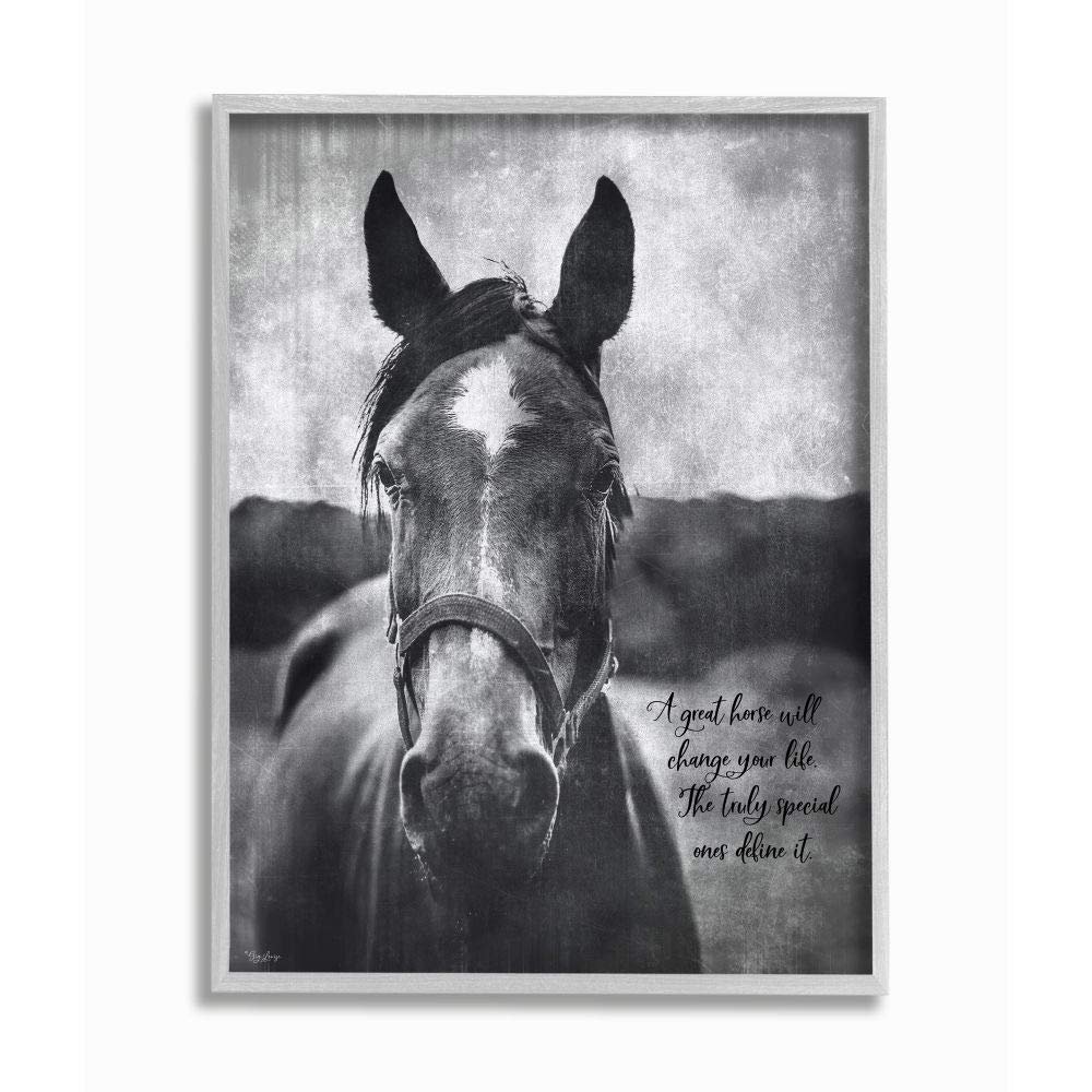 Stupell Industries A Horse Inspiring Word Farm, Design by Gigi Louise Wall Art, 16 x 20, Grey Framed