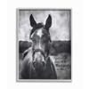 Stupell Industries A Horse Inspiring Word Farm, Design by Gigi Louise Wall Art, 16 x 20, Grey Framed view 1
