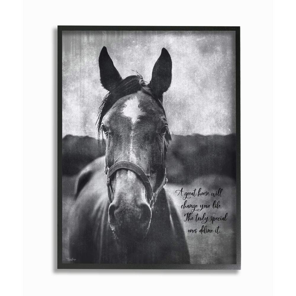 Stupell Industries A Horse Inspiring Word Farm, Design by Gigi Louise Wall Art, 11 x 14, Black Framed