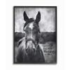Stupell Industries A Horse Inspiring Word Farm, Design by Gigi Louise Wall Art, 11 x 14, Black Framed view 1