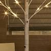Hairui Pre Lit Birch Tree 2 Pack 4FT 72 Warm White LED White Christmas Tree for Indoor Outdoor Home Christmas Spring Easter Holiday Decoration Indoor Outdoor view 2