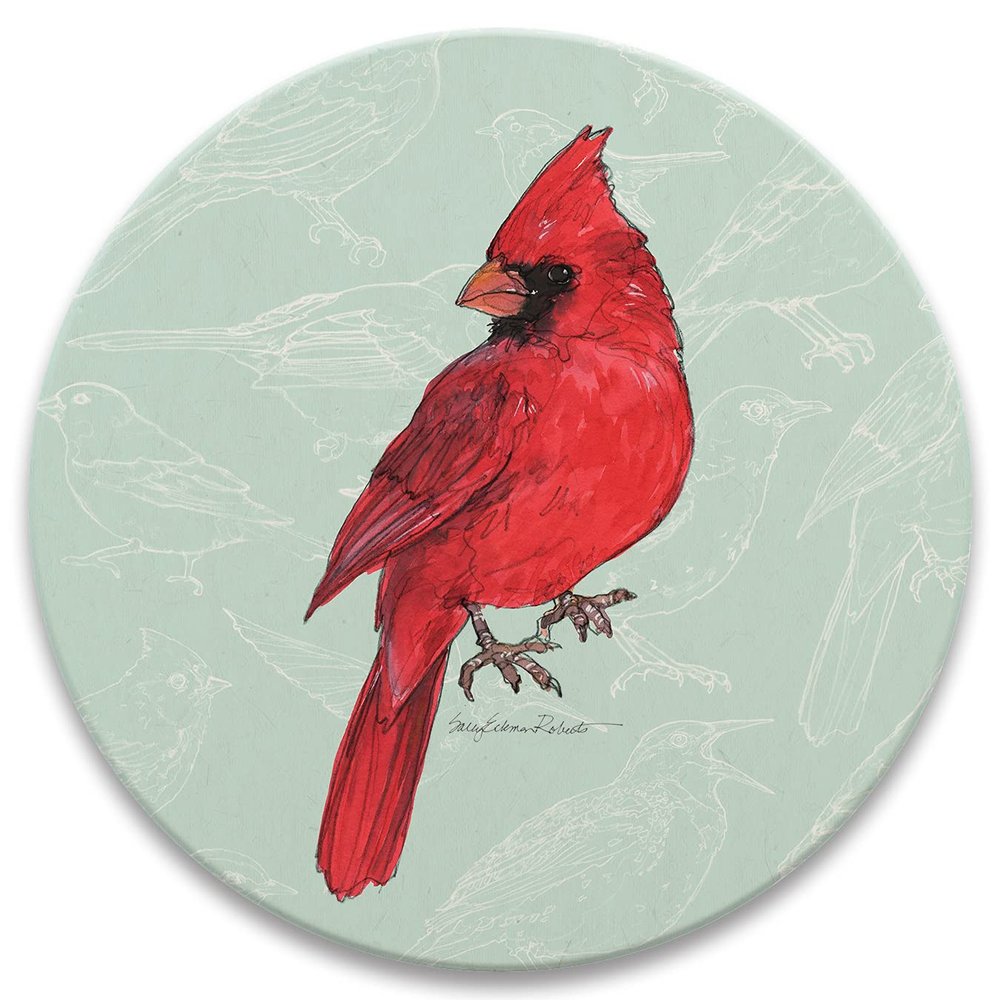 CoasterStone Absorbent Coasters Drink, Home Decorative Accent