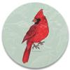 CoasterStone Absorbent Coasters Drink, Home Decorative Accent view 1