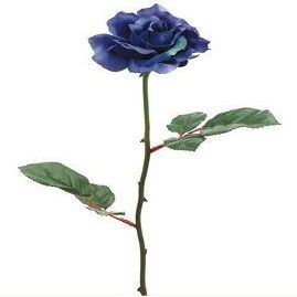 Allstate Floral Medium Rose 23" Blue
