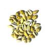 SATISFACTORY Nation Yellow Kauri Laxmi Vishnu Pooja Purpose Peeli Kawri Kaudi 11 Piece view 2