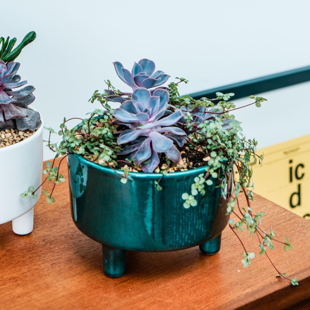 Ivyline Pisa Premium Glaze Bowl Ceramic Planter on Legs - Emerald - Premium Quality, UV Stable & Waterproof Indoor Decorative Flower Pot - H14cmxD19cm