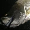 Gamakatsu TGW Twin SP-M Big Bait SP Treble Hook, Rose, Rose view 3