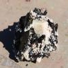 StarStuff.Rocks Mineral, Crystal, and Rock Collection: Authentic Minerals from Africa (Pink Tourmaline in Quartz) view 3