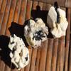 StarStuff.Rocks Mineral, Crystal, and Rock Collection: Authentic Minerals from Africa (Pink Tourmaline in Quartz) view 4