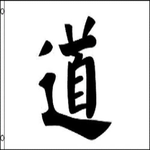 Green 3X5 Chinese Symbol for Morality Tao Lettering Scripture Flag Poly House Banner