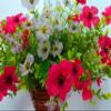 19.7" Silk Hanging Flower Lifelike Cone Basket Artificial Flowers Daisy (Pink and White) view 2