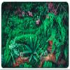 Carpets for Kids 60113 Real Jungle Floor Decorative Kids Teen Room Rug 3ft x 5ft Rectangle Green view 1