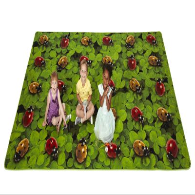 Carpets for Kids 60016 Real Ladybug Seating Classroom Decortive Rug 6ft x 9ft Rectangle Green