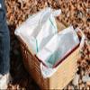 Ring Star Starke-R Basket, Regular Basket, Storage, Outdoor, L 18.3 x W 15.2 x H 11.0 inches (465 x 385 x 280 mm) view 3