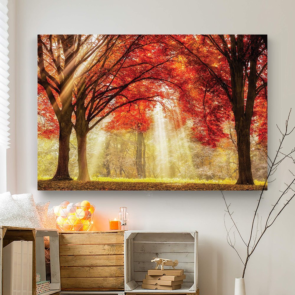 Renditions Gallery Landscape Photographic Pictures Print Artwork Canvas Wall Art Decorations for Home Office Ready to Hang, 12x18, Everland