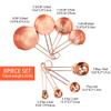 8 Pcs Measuring Cups and Spoons Set Intsun Stainless Steel Rose Gold Measuring Cups & Spoons with Engraved Marking Ruler for Measuring Dry & Liquid Ingredients Baking Cooking, Mixing & Food Processing view 2
