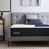 Lucid 14 Inch Memory Foam Mattress - Medium Firm Feel - Infused with Refreshing Bamboo Charcoal and Cooling Gel - Bed in a Box - Temperature Regulating - Pressure Relief - Breathable - California King view 1