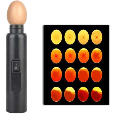 Ymiko Egg Candler Tester LED Mini Lighting Incubator for Experiment Exclusive for All Chicken Dark Quail Duck Canary Eggs