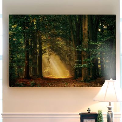 Renditions Gallery Landscape Pictures Artwork Giclee Print Canvas Art Ready to Hang for Home Wall Decor, 12x18, Shine On