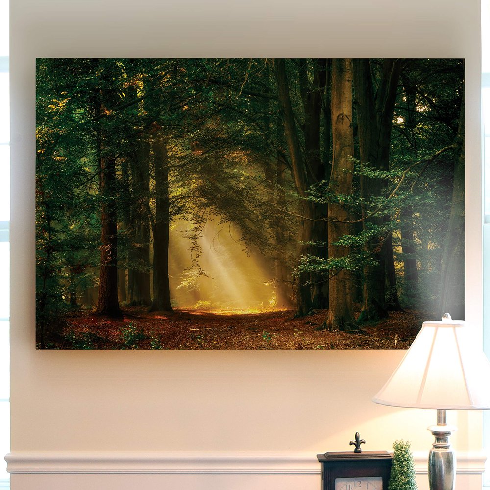 Renditions Gallery Landscape Pictures Artwork Giclee Print Canvas Art Ready to Hang for Home Wall Decor, 12x18, Shine On