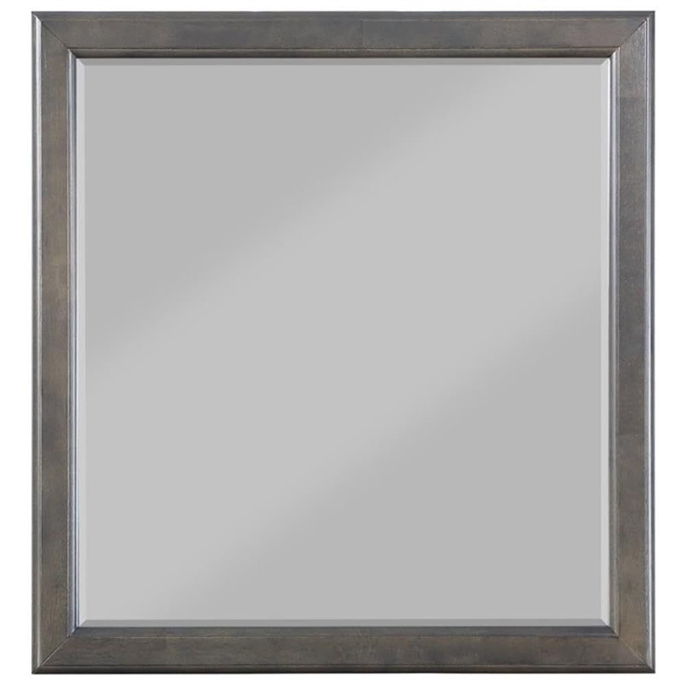 Acme Louis Philippe Mirror in Dark Gray