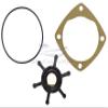 StayCoolPumps SCP-17556 New Impeller, Gasket and O-Ring for Oberdorfer Pump 202 Series view 1