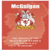 I LUV LTD McGuigan Irish Family Name History Booklet Covering The Origin of This Famous Name view 1