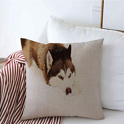 Decorative Throw Pillow Covers Red Siberian Husky Dog Blue Climate Eyes Alaskan Animals Cute Wildlife Parks Outdoor Siberia Relax Linen Square Pillow Cover Cases for Couch Sofa 16x16 Inch