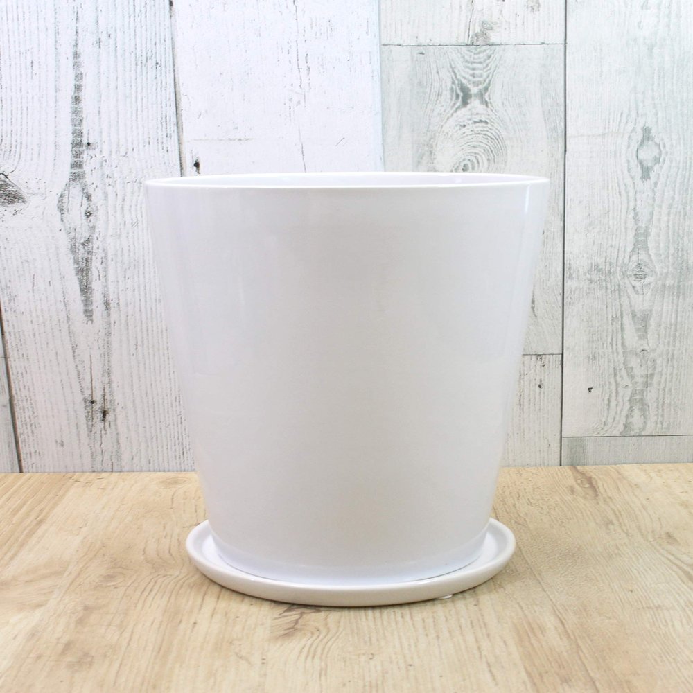 29093 Flower Base Candle Holder, 6 Size, Round, H 11.0 x Diameter 7.3 inches (28 x 18.5 cm), White (with Saucer)