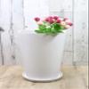 29093 Flower Base Candle Holder, 6 Size, Round, H 11.0 x Diameter 7.3 inches (28 x 18.5 cm), White (with Saucer) view 2