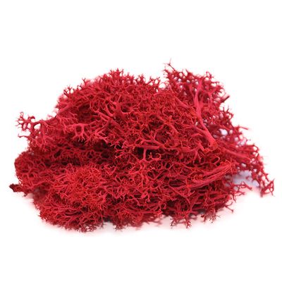 Queenbox 1.4oz/40g Artificial Moss for Indoor, Resin Fake Plants Greenery Wall Lawns Turf Carpets for Floral Panel, Home, Craft Decor, T03