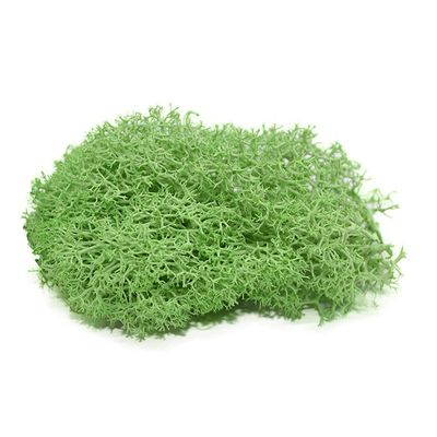 Queenbox 1.4oz/40g Artificial Moss for Indoor, Resin Fake Plants Greenery Wall Lawns Turf Carpets for Floral Panel, Home, Craft Decor, T07
