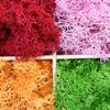 Queenbox 1.4oz/40g Artificial Moss for Indoor, Resin Fake Plants Greenery Wall Lawns Turf Carpets for Floral Panel, Home, Craft Decor, T07 view 4