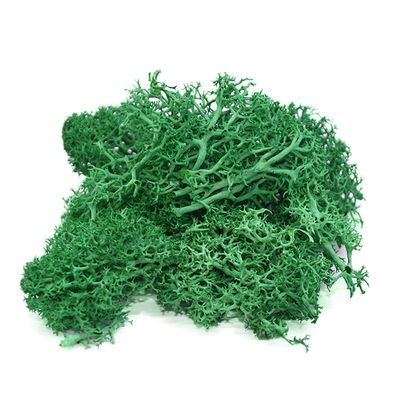 Queenbox 1.4oz/40g Artificial Moss for Indoor, Resin Fake Plants Greenery Wall Lawns Turf Carpets for Floral Panel, Home, Craft Decor, T09