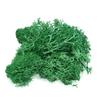Queenbox 1.4oz/40g Artificial Moss for Indoor, Resin Fake Plants Greenery Wall Lawns Turf Carpets for Floral Panel, Home, Craft Decor, T09 view 1