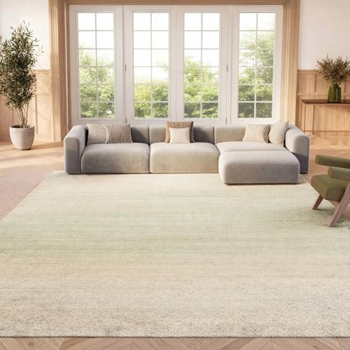 SAFAVIEH Area Rug 8x10 - Adirondack Collection - Large - Green & Ivory, Modern Ombre Design, Non-Shedding & Easy Cleaning, Ideal for Living Room, Bedroom, Office, Dining Space (ADR142Y)