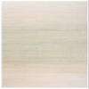 SAFAVIEH Area Rug 8x10 - Adirondack Collection - Large - Green & Ivory, Modern Ombre Design, Non-Shedding & Easy Cleaning, Ideal for Living Room, Bedroom, Office, Dining Space (ADR142Y) view 3