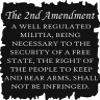 Badger Steel USA - The 2nd Amendment - Metal Wall Art - 23" X 30" - Black view 4