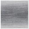 SAFAVIEH Area Rug 8x10 - Adirondack Collection - Large - Grey & Ivory, Modern Ombre Design, Non-Shedding & Easy Cleaning, Ideal for Living Room, Bedroom, Office, Dining Space (ADR142F) view 3
