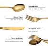 Berglander Flatware Set 40 Piece, Stainless Steel With Titanium Gold Plated, Golden Color Flatware Set, Silverware, Cutlery Set Service For 8 (Shiny Gold) view 3