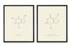 WUNDERKAMMER STUDIO - Caffeine & Chocolate Molecule Poster Print - Scientific Wall Art - House Home Dcor - Housewarming Gift - Set of 2 8x10 Framed Prints (Black) view 1