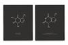 WUNDERKAMMER STUDIO - Caffeine & Chocolate Molecule Poster Print - Scientific Wall Art - House Home Dcor - Housewarming Gift - Set of 2 8x10 Framed Prints (Black) view 1