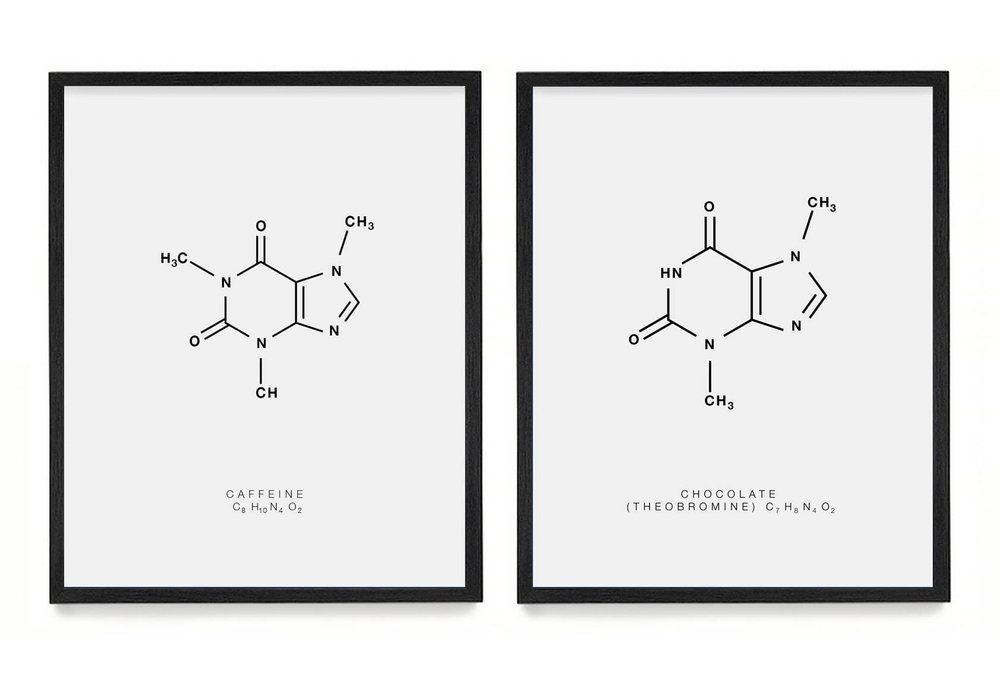 WUNDERKAMMER STUDIO - Caffeine & Chocolate Molecule Poster Print - Scientific Wall Art - House Home Dcor - Housewarming Gift - Set of 2 8x10 Framed Prints (Black)