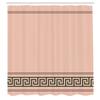 Ambesonne Abstract Shower Curtain, Simplistic Classic Greek Inspired Pattern in Monochrome Design, Cloth Fabric Bathroom Decor Set with Hooks, 69" W x 70" L, Blush Emerald and Grey Pink view 2