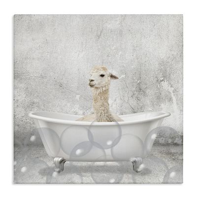 Stupell Industries Baby Llama Bath Time Cute Animal Design, Designed by Kim Allen Wall Art, 24 x 1.5 x 24, Canvas