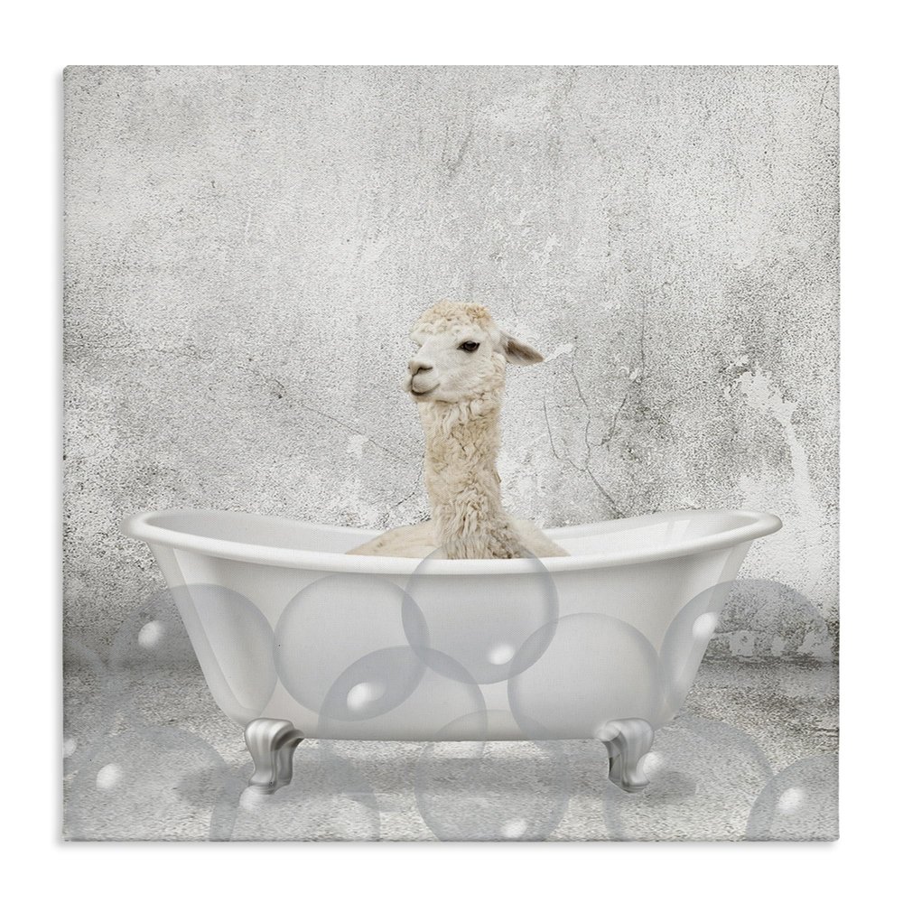 Stupell Industries Baby Llama Bath Time Cute Animal Design, Designed by Kim Allen Wall Art, 24 x 1.5 x 24, Canvas