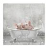 Stupell Industries Baby Piglets Bath Time Cute Animal Design, Designed by Kim Allen Wall Art, 30 x 1.5 x 30, Canvas view 1